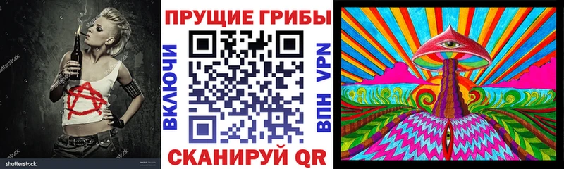 Галлюциногенные грибы Psilocybe Лахденпохья