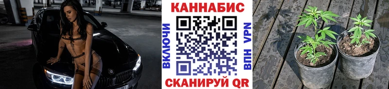 МАРИХУАНА Amnesia  магазин продажи   Лахденпохья 